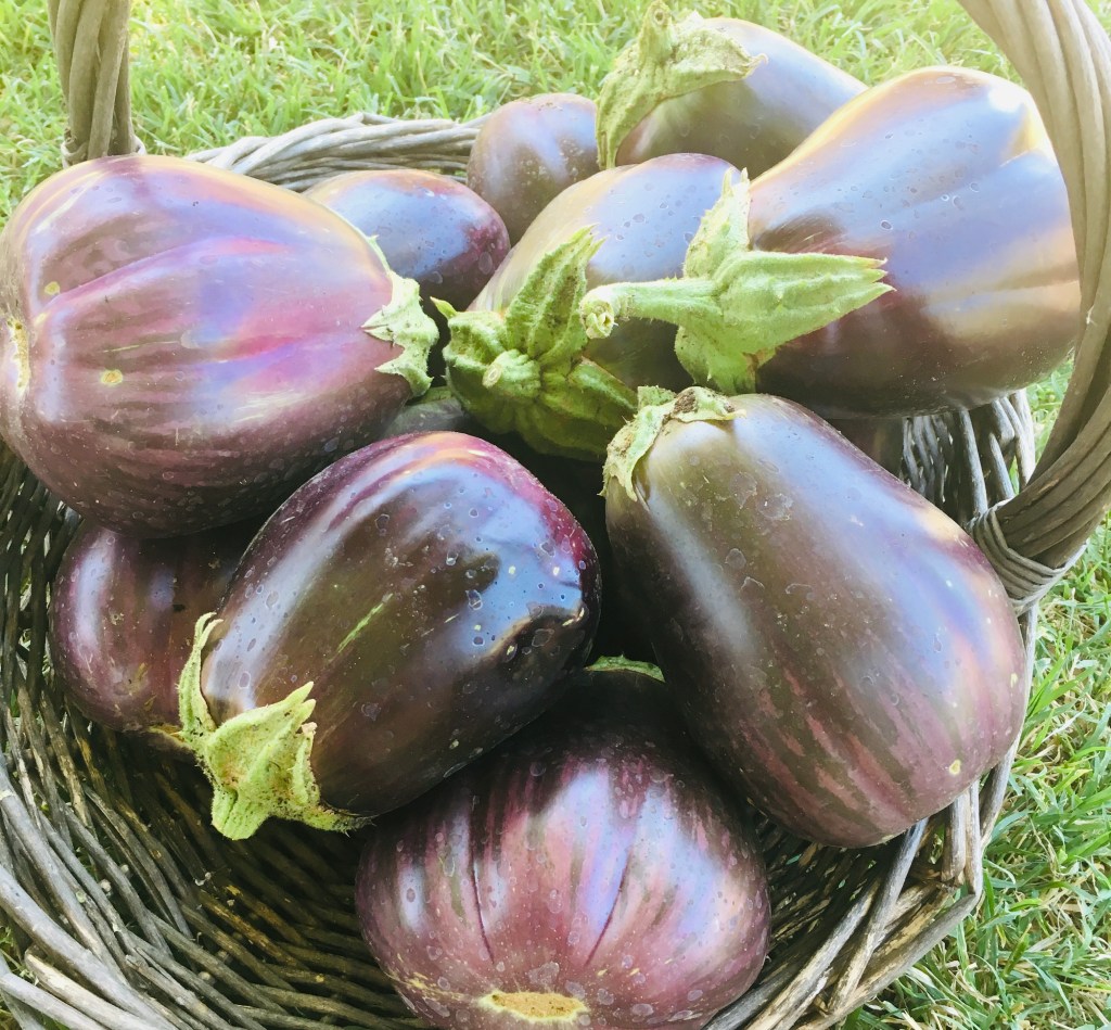 Let’s Make Eggplant&nbsp;Parmigiana